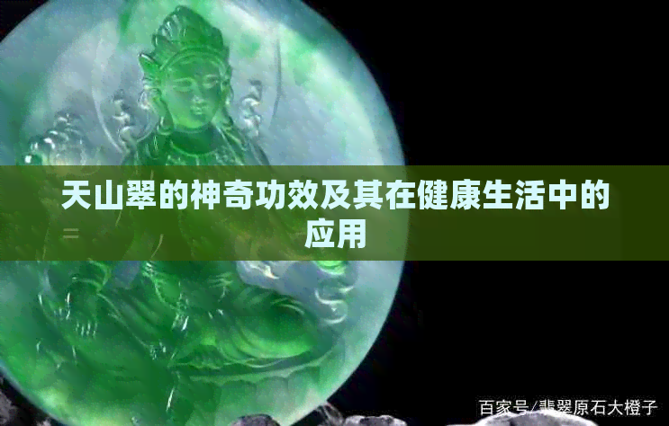 天山翠的神奇功效及其在健康生活中的应用