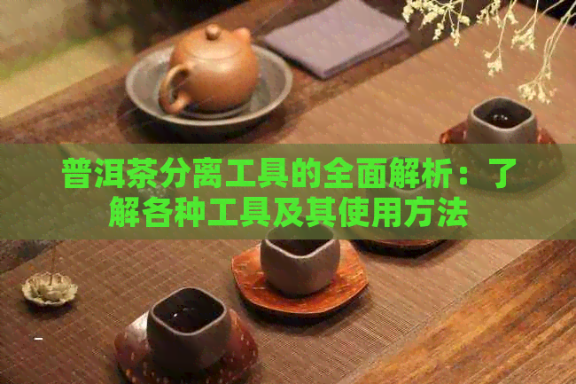 普洱茶分离工具的全面解析：了解各种工具及其使用方法