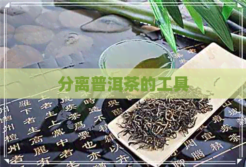 分离普洱茶的工具