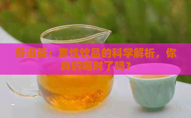 普洱茶：寒性饮品的科学解析，你真的喝对了吗？