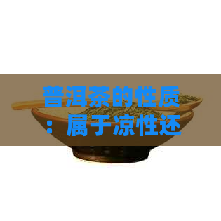 普洱茶的性质：属于凉性还是性？探讨其对人体的影响及适用人群