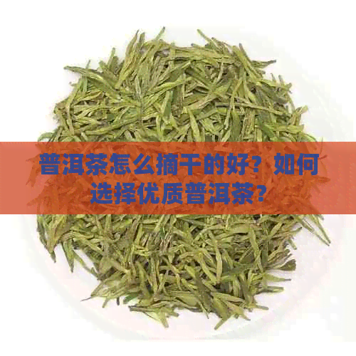 普洱茶怎么摘干的好？如何选择优质普洱茶？