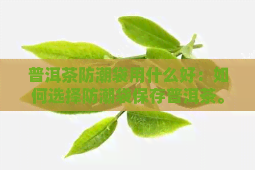 普洱茶防潮袋用什么好：如何选择防潮袋保存普洱茶。