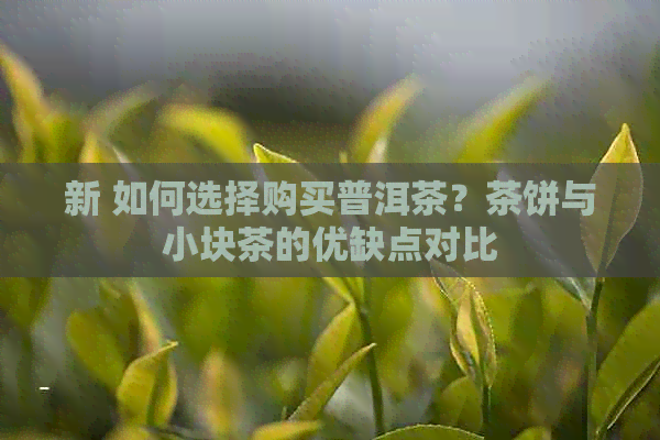 新 如何选择购买普洱茶？茶饼与小块茶的优缺点对比