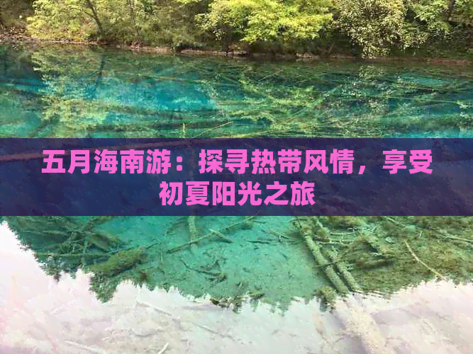 五月海南游：探寻热带风情，享受初夏阳光之旅