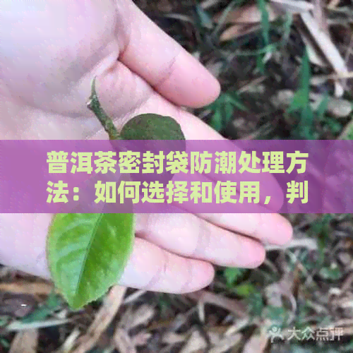 普洱茶密封袋防潮处理方法：如何选择和使用，判断其质量优劣