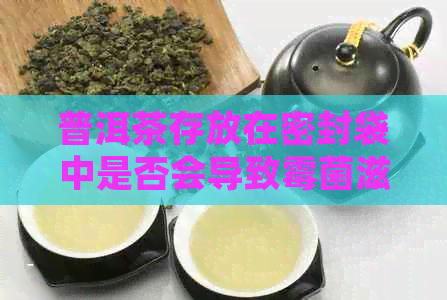 普洱茶存放在密封袋中是否会导致霉菌滋生？如何正确保存普洱茶以防止霉变？