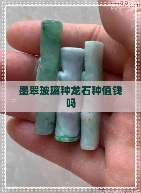 墨翠玻璃种龙石种值钱吗