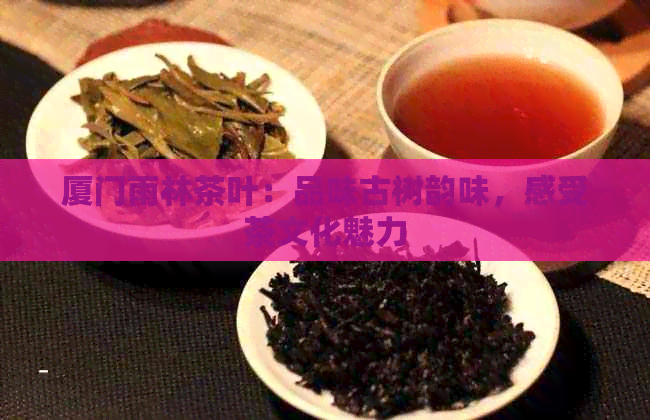 厦门雨林茶叶：品味古树韵味，感受茶文化魅力