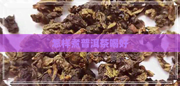 怎样煮普洱茶喝好