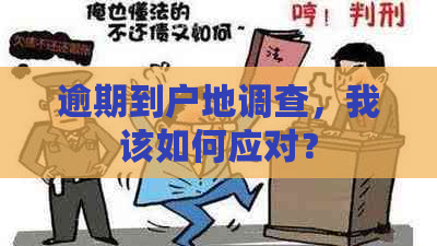 逾期到户地调查，我该如何应对？