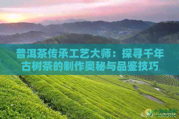 普洱茶传承工艺大师：探寻千年古树茶的制作奥秘与品鉴技巧