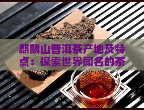 麒麟山普洱茶产地及特点：探索世界闻名的茶叶产区