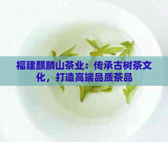 福建麒麟山茶业：传承古树茶文化，打造高端品质茶品