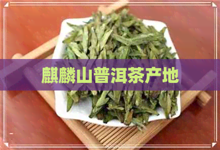 麒麟山普洱茶产地