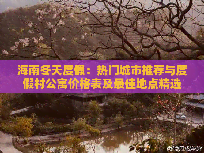 海南冬天度假：热门城市推荐与度假村公寓价格表及更佳地点精选