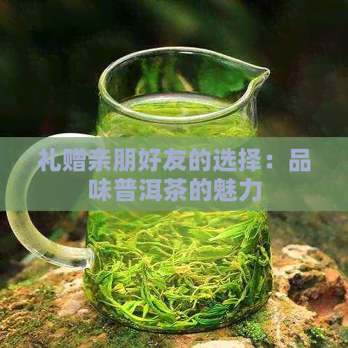 礼赠亲朋好友的选择：品味普洱茶的魅力