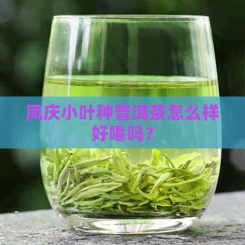 凤庆小叶种普洱茶怎么样好喝吗？