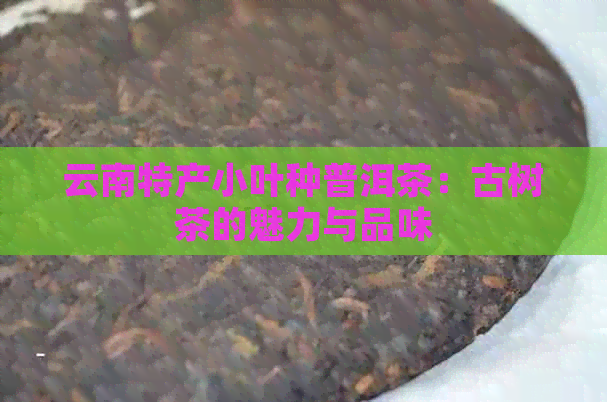 云南特产小叶种普洱茶：古树茶的魅力与品味