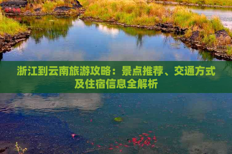 浙江到云南旅游攻略：景点推荐、交通方式及住宿信息全解析