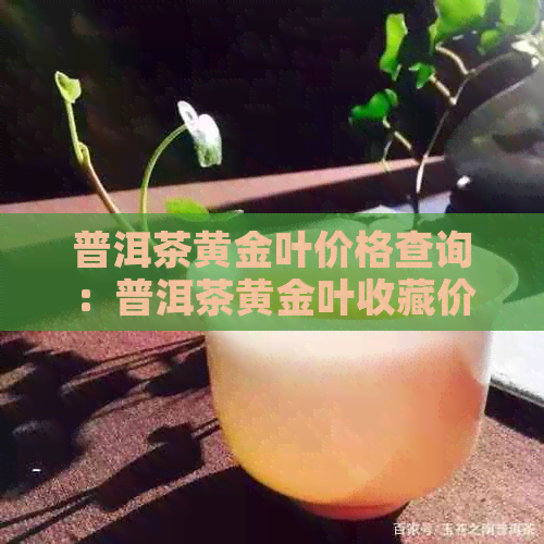 普洱茶黄金叶价格查询：普洱茶黄金叶收藏价值及等级分析