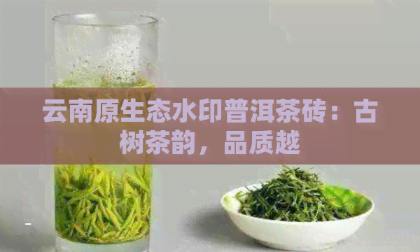 云南原生态水印普洱茶砖：古树茶韵，品质越