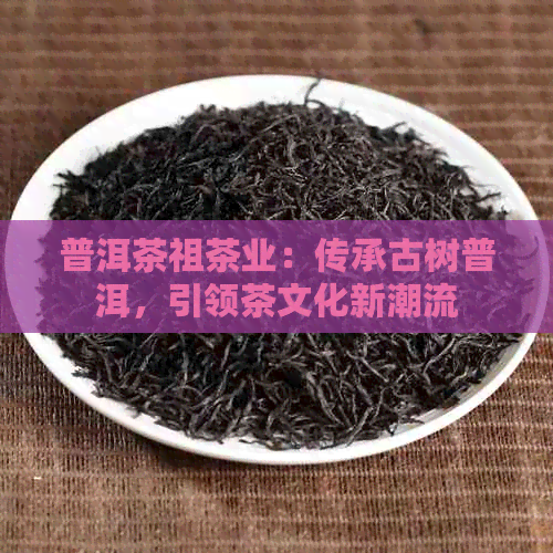 普洱茶祖茶业：传承古树普洱，引领茶文化新潮流