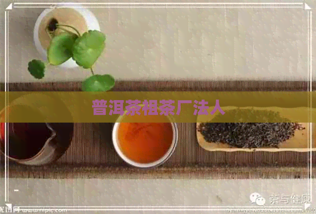 普洱茶祖茶厂法人