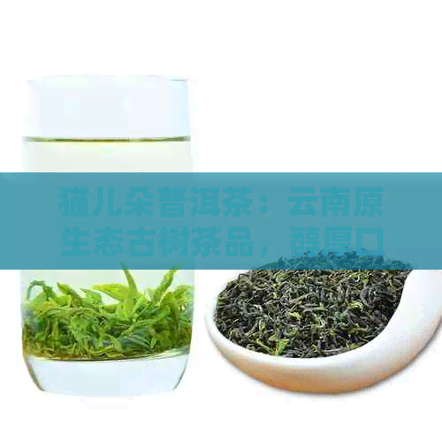 猫儿朵普洱茶：云南原生态古树茶品，醇厚口感的深度体验