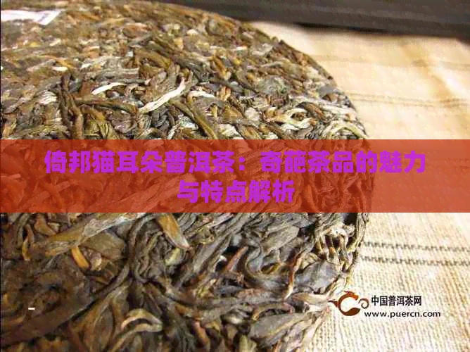 倚邦猫耳朵普洱茶：奇葩茶品的魅力与特点解析