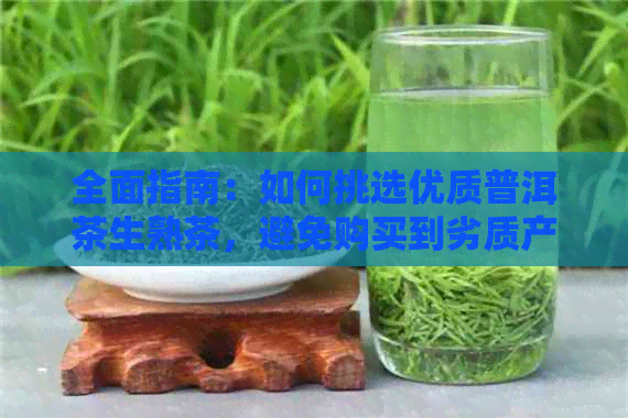 全面指南：如何挑选优质普洱茶生熟茶，避免购买到劣质产品