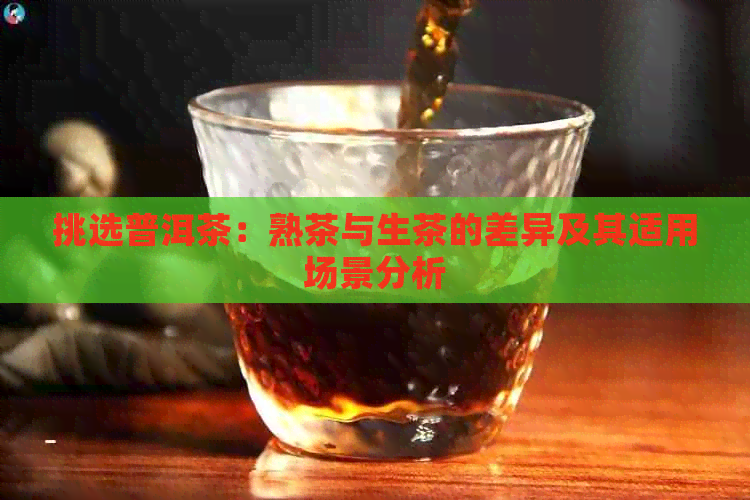 挑选普洱茶：熟茶与生茶的差异及其适用场景分析