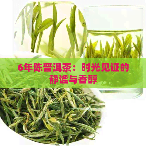 6年陈普洱茶：时光见证的静谧与香醇