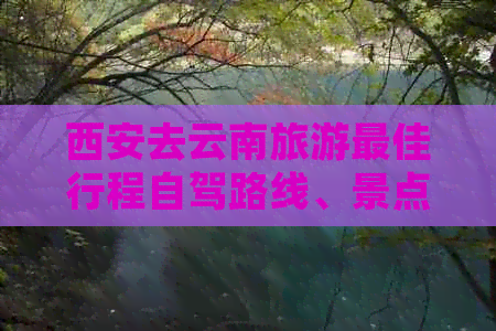 西安去云南旅游更佳行程自驾路线、景点和攻略