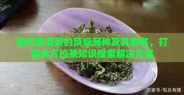 探究普洱茶的顶级品种及其别名，打造全方位茶知识搜索解决方案