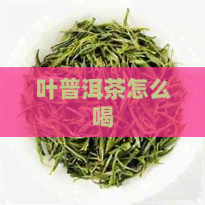 叶普洱茶怎么喝