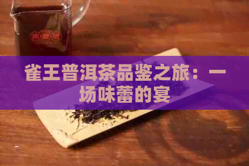 雀王普洱茶品鉴之旅：一场味蕾的宴