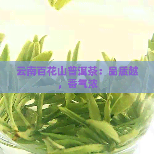 云南百花山普洱茶：品质越，香气浓