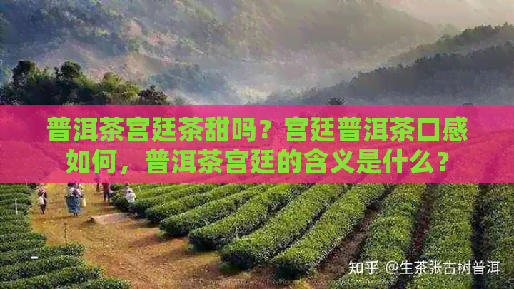 普洱茶宫廷茶甜吗？宫廷普洱茶口感如何，普洱茶宫廷的含义是什么？