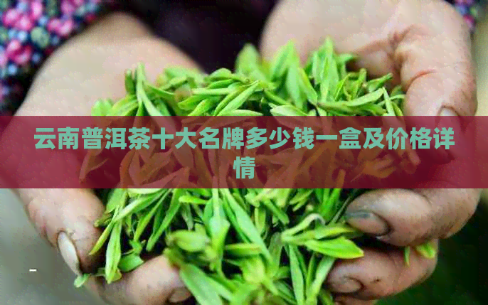 云南普洱茶十大名牌多少钱一盒及价格详情