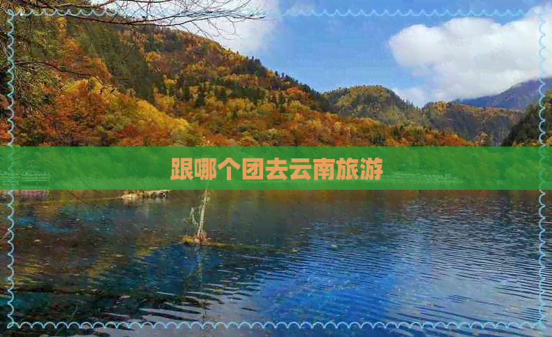 跟哪个团去云南旅游