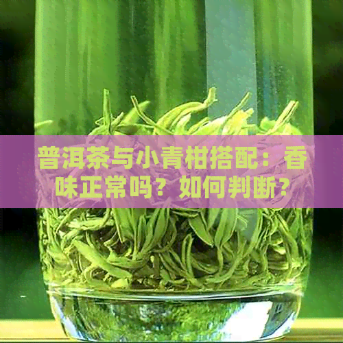 普洱茶与小青柑搭配：香味正常吗？如何判断？