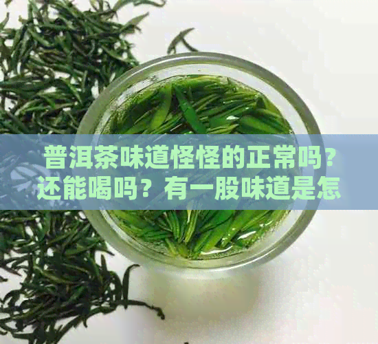 普洱茶味道怪怪的正常吗？还能喝吗？有一股味道是怎么回事？