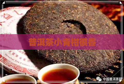 普洱茶小青柑很香