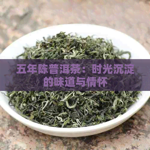 五年陈普洱茶：时光沉淀的味道与情怀