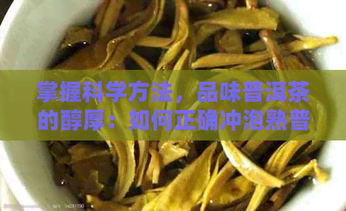 掌握科学方法，品味普洱茶的醇厚：如何正确冲泡熟普洱茶