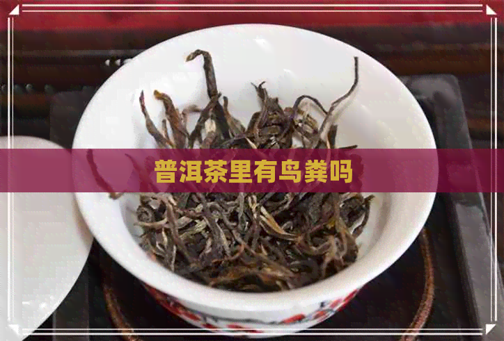 普洱茶里有鸟粪吗