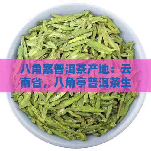 八角寨普洱茶产地：云南省，八角亭普洱茶生产厂家，普洱茶八角亭0432