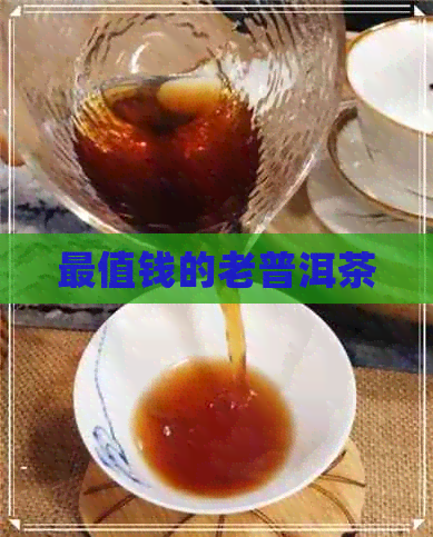 最值钱的老普洱茶