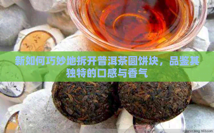 新如何巧妙地拆开普洱茶圆饼块，品鉴其独特的口感与香气